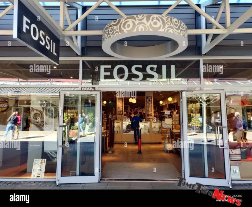 the Fossil Outlet